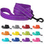 Reflective Nylon Dog Leash - iTalkPet