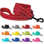 Reflective Nylon Dog Leash - iTalkPet