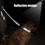Reflective Nylon Dog Leash - iTalkPet