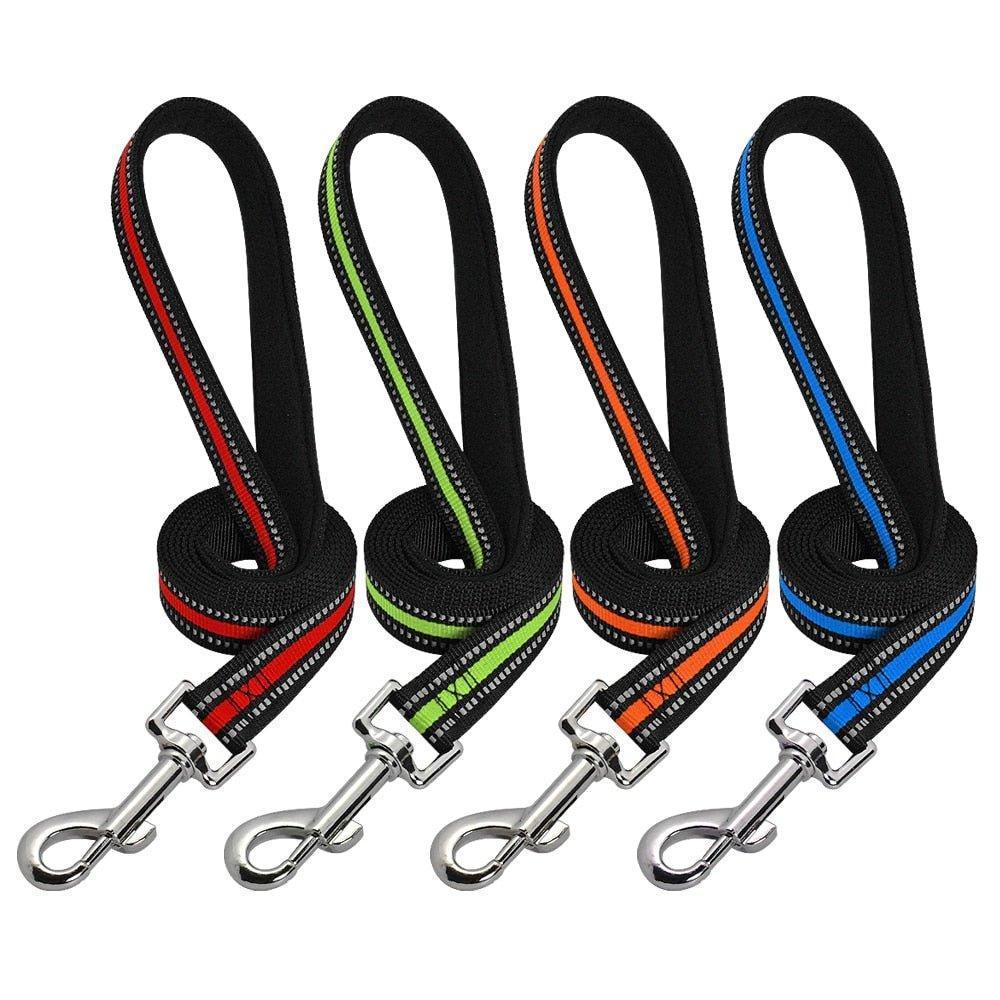 Reflective Nylon Pet Leash - iTalkPet