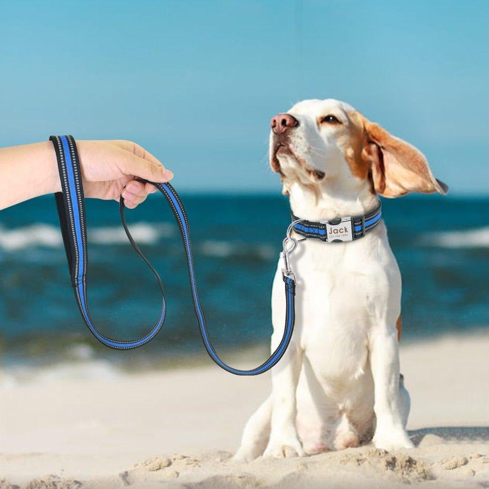 Reflective Nylon Pet Leash - iTalkPet