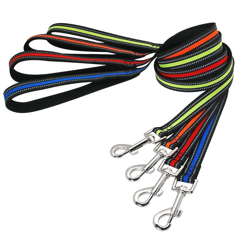 Reflective Nylon Pet Leash - iTalkPet