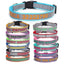 Reflective Personalized Pet Collar - Custom Dog ID Collar - iTalkPet