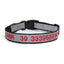 Reflective Personalized Pet Collar - Custom Dog ID Collar - iTalkPet