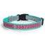 Reflective Personalized Pet Collar - Custom Dog ID Collar - iTalkPet