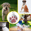 Rhinestones Inlaid Paw Print Personalized Pet Tag - iTalkPet