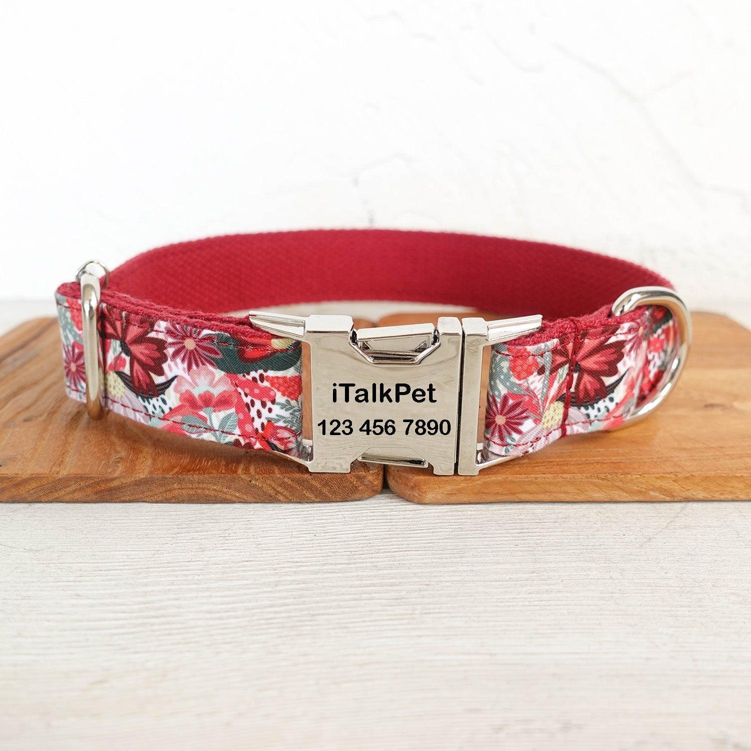 Rosa Red Personalized Dog Collar Set - iTalkPet