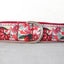 Rosa Red Personalized Dog Collar Set - iTalkPet