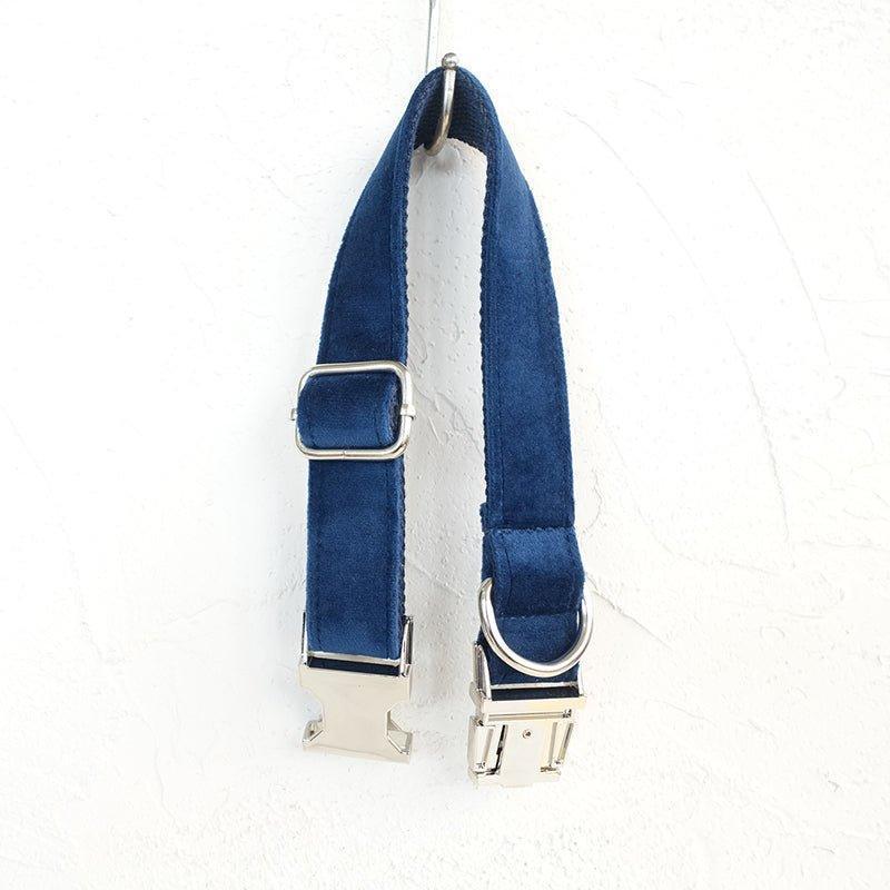 Sapphire Personalized Dog Collar Set - iTalkPet