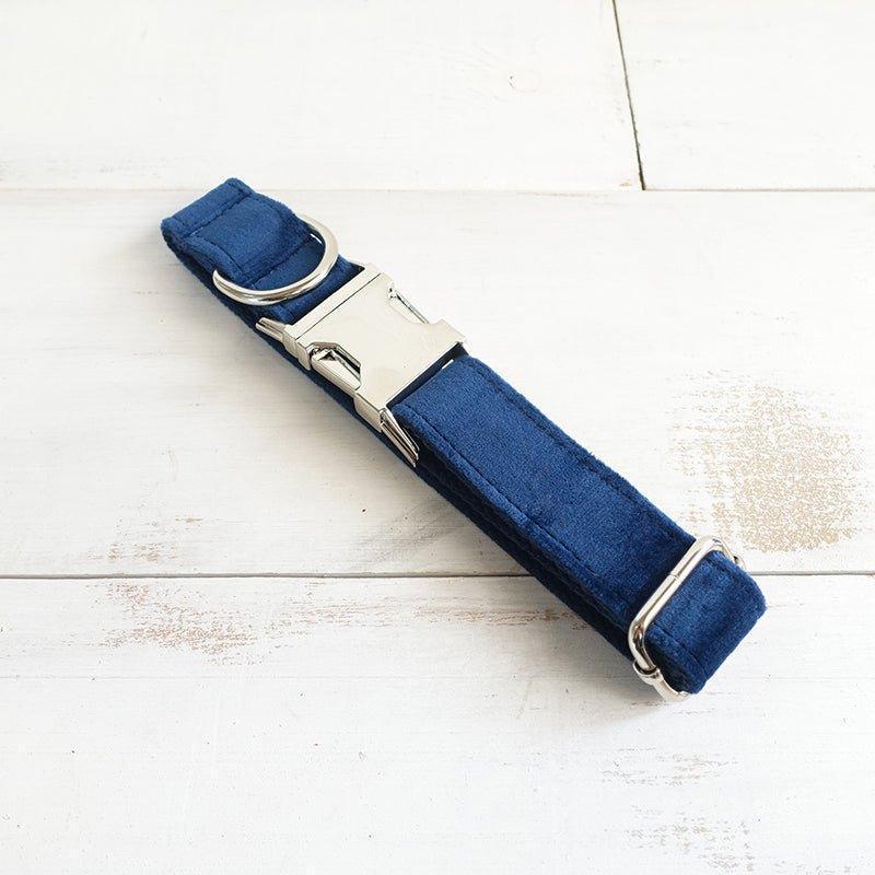 Sapphire Personalized Dog Collar Set - iTalkPet