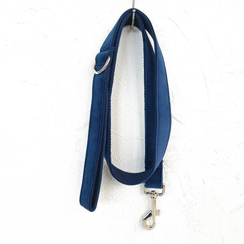 Sapphire Personalized Dog Collar Set - iTalkPet