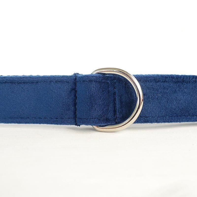 Sapphire Personalized Dog Collar Set - iTalkPet