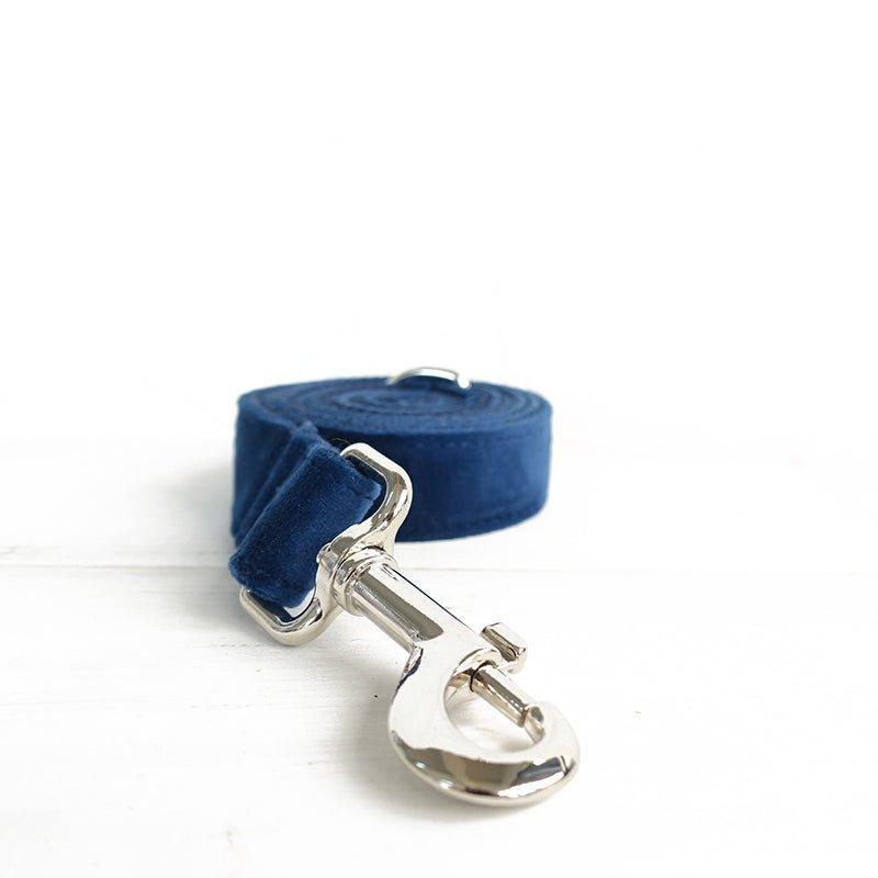 Sapphire Personalized Dog Collar Set - iTalkPet