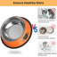 Set of 3 Stainless Steel Cat Food Water Bowl with Non-Slip Rubber Base - iTalkPet