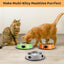 Set of 3 Stainless Steel Cat Food Water Bowl with Non-Slip Rubber Base - iTalkPet