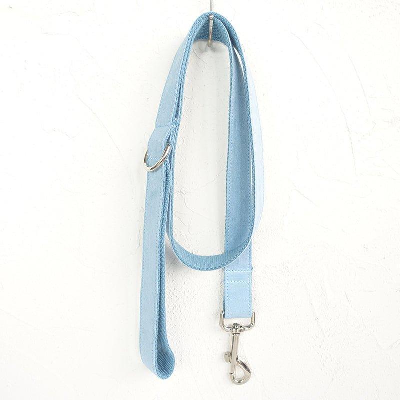 Sky Blue Personalized Dog Collar Set - iTalkPet