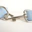 Sky Blue Personalized Dog Collar Set - iTalkPet