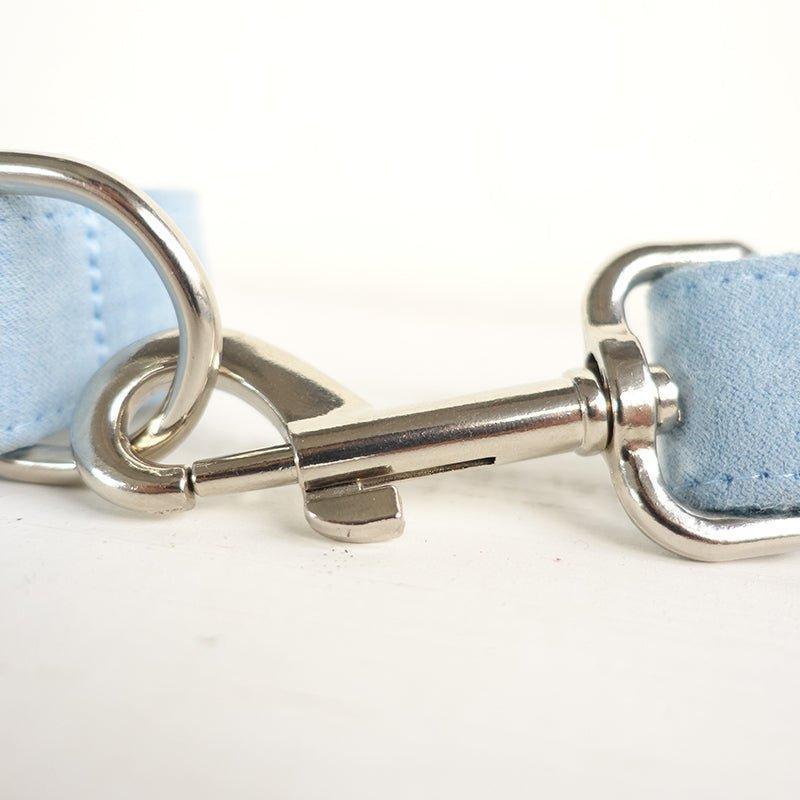 Sky Blue Personalized Dog Collar Set - iTalkPet