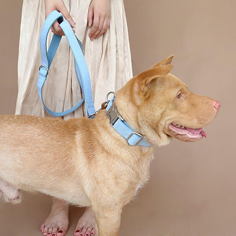 Sky Blue Personalized Dog Collar Set - iTalkPet