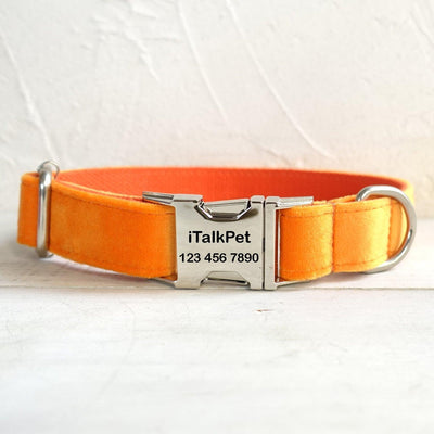 Soft Orange Personalized Dog Collar Set - iTalkPet