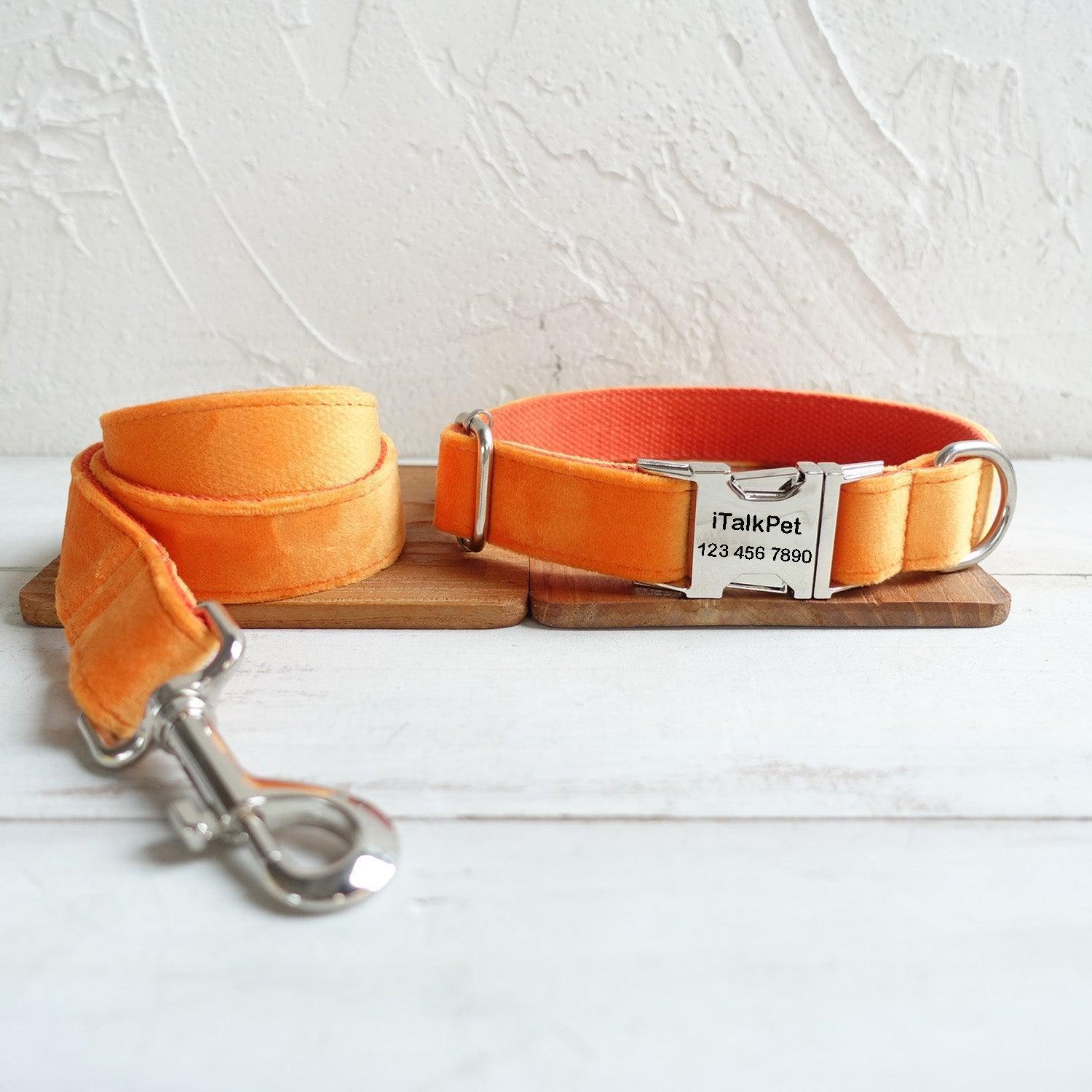 Soft Orange Personalized Dog Collar Set - iTalkPet