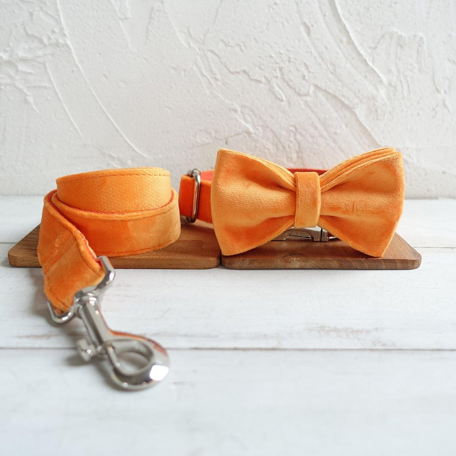 Soft Orange Personalized Dog Collar Set - iTalkPet