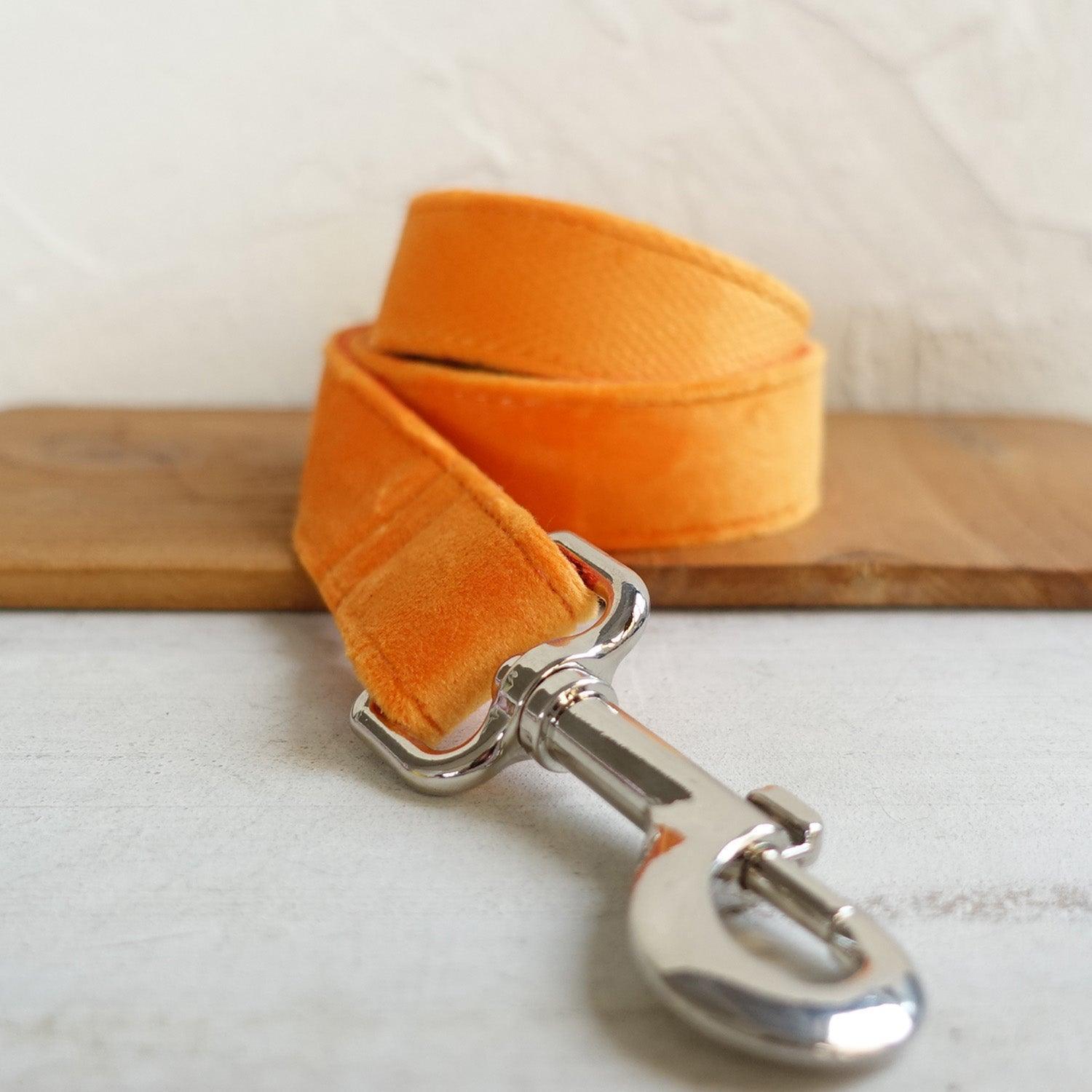 Soft Orange Personalized Dog Collar Set - iTalkPet