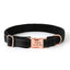 Soft Padded Personalized Dog Collar - Reflective Engraved Quick Release Custom Pet Collar - iTalkPet