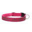 Soft Personalized Dog Collar - Quick Release Buckle and D-Ring - iTalkPet