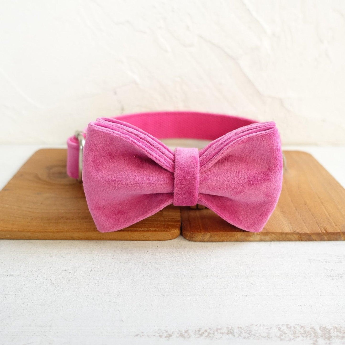 Soft Pink Personalized Dog Collar Set - iTalkPet
