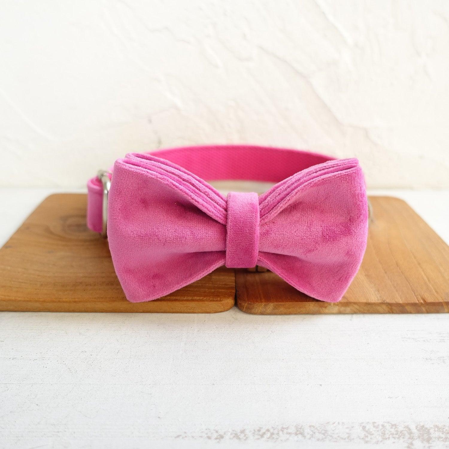Soft Pink Personalized Dog Collar Set - iTalkPet
