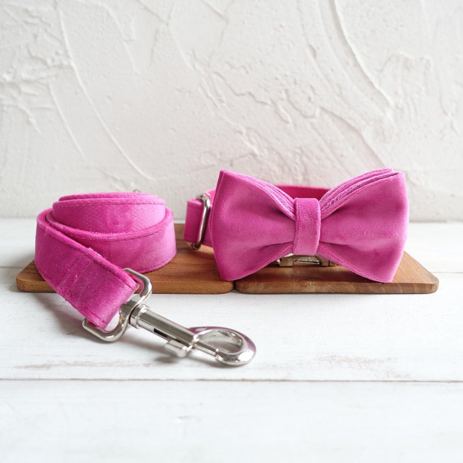 Soft Pink Personalized Dog Collar Set - iTalkPet