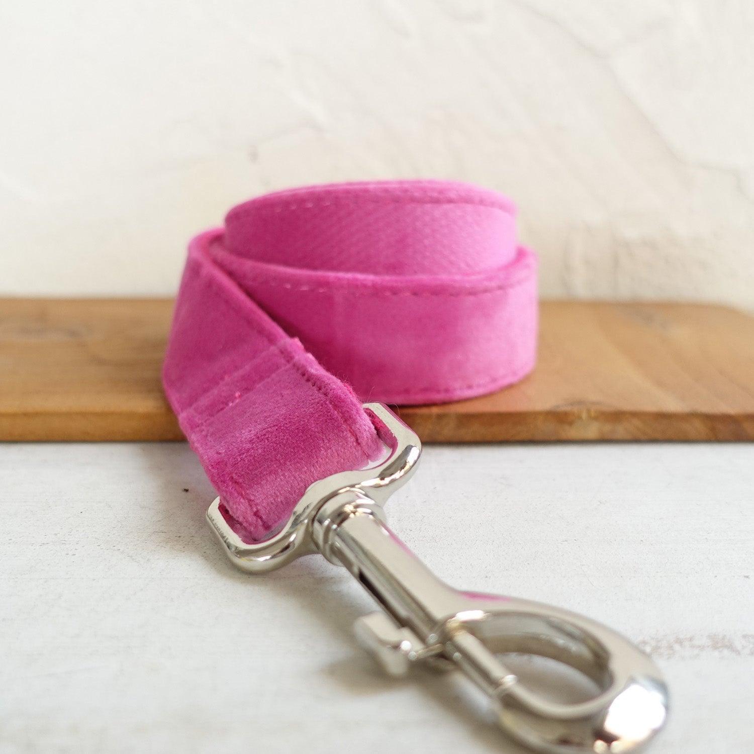 Soft Pink Personalized Dog Collar Set - iTalkPet