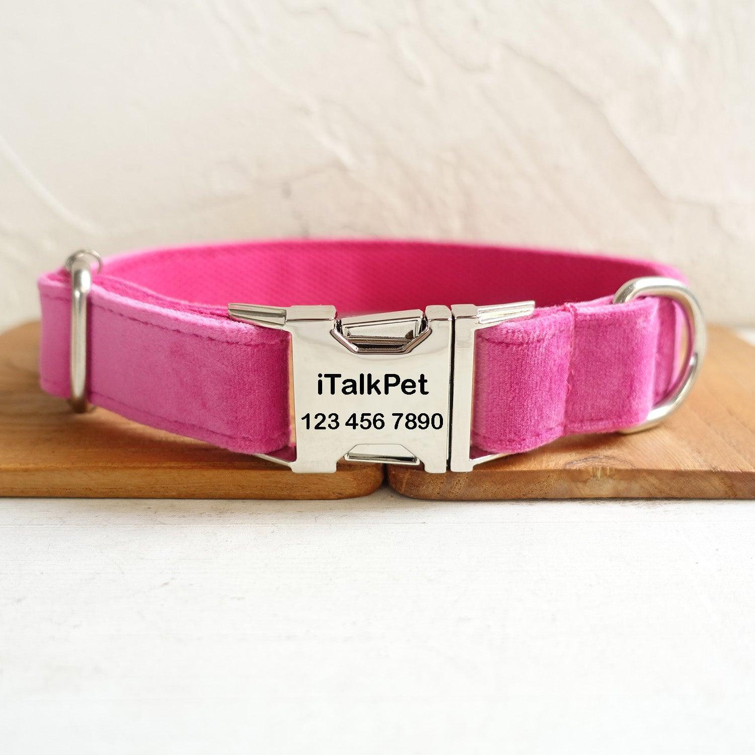 Soft Pink Personalized Dog Collar Set - iTalkPet