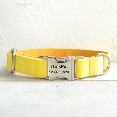 Soft Yellow Personalized Dog Collar Set - iTalkPet