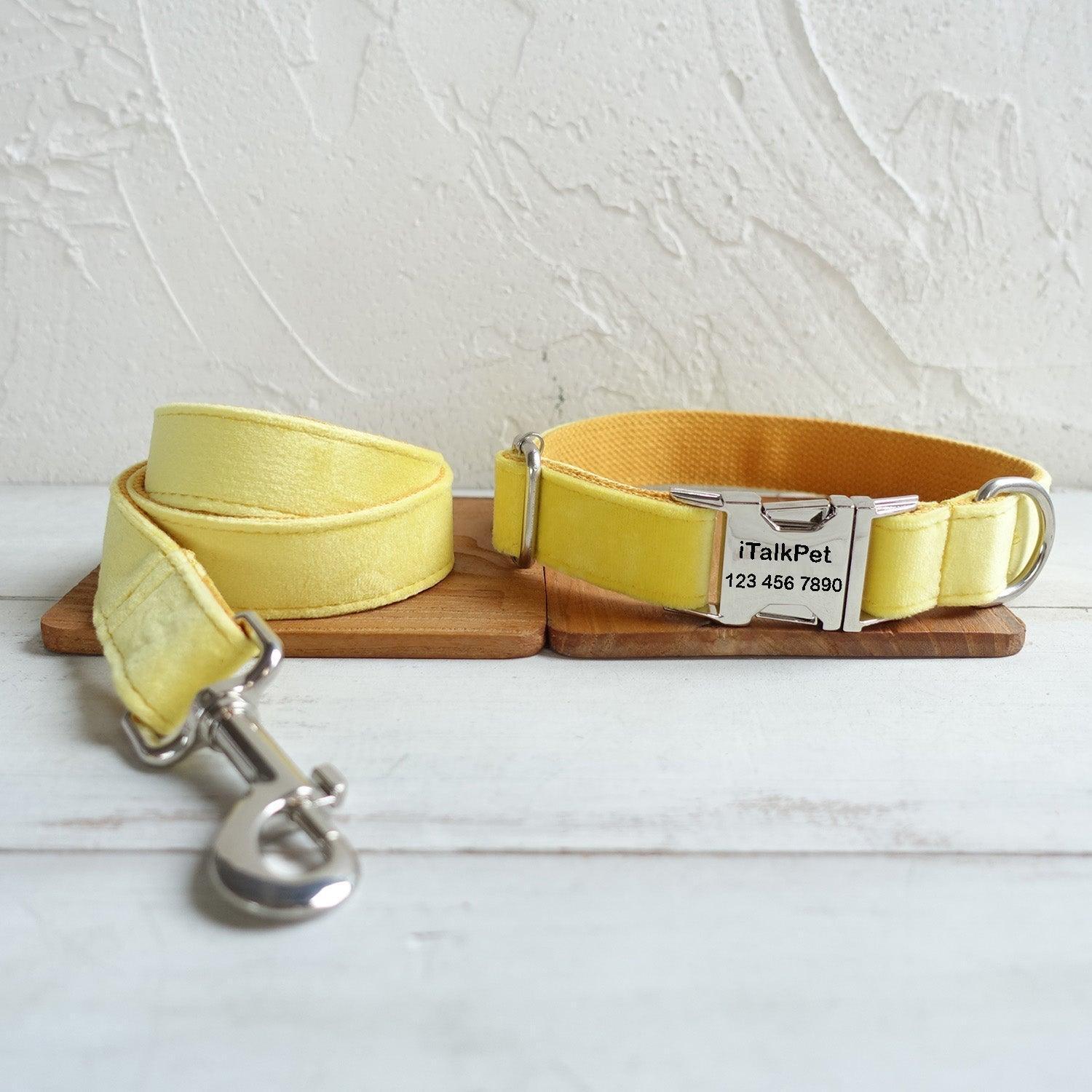 Soft Yellow Personalized Dog Collar Set - iTalkPet