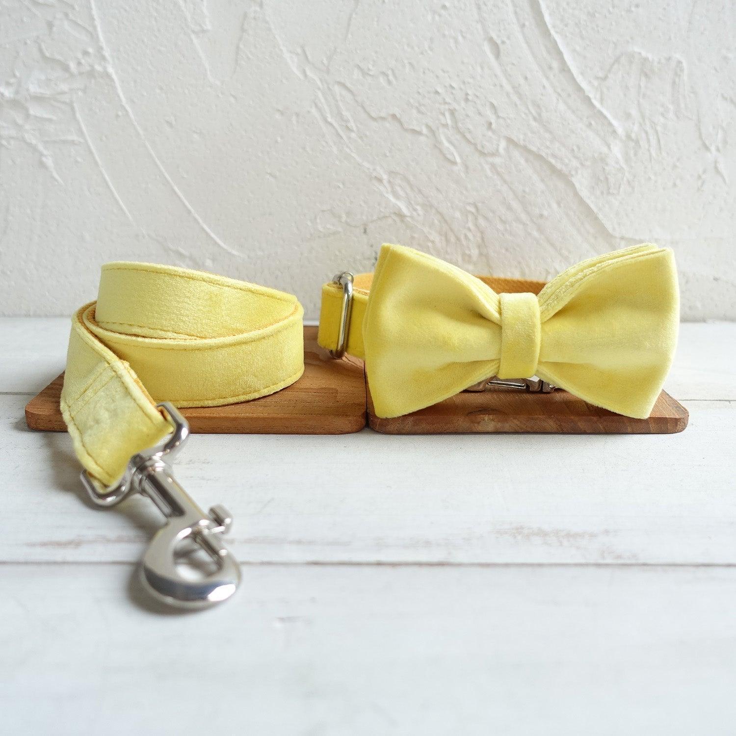 Soft Yellow Personalized Dog Collar Set - iTalkPet