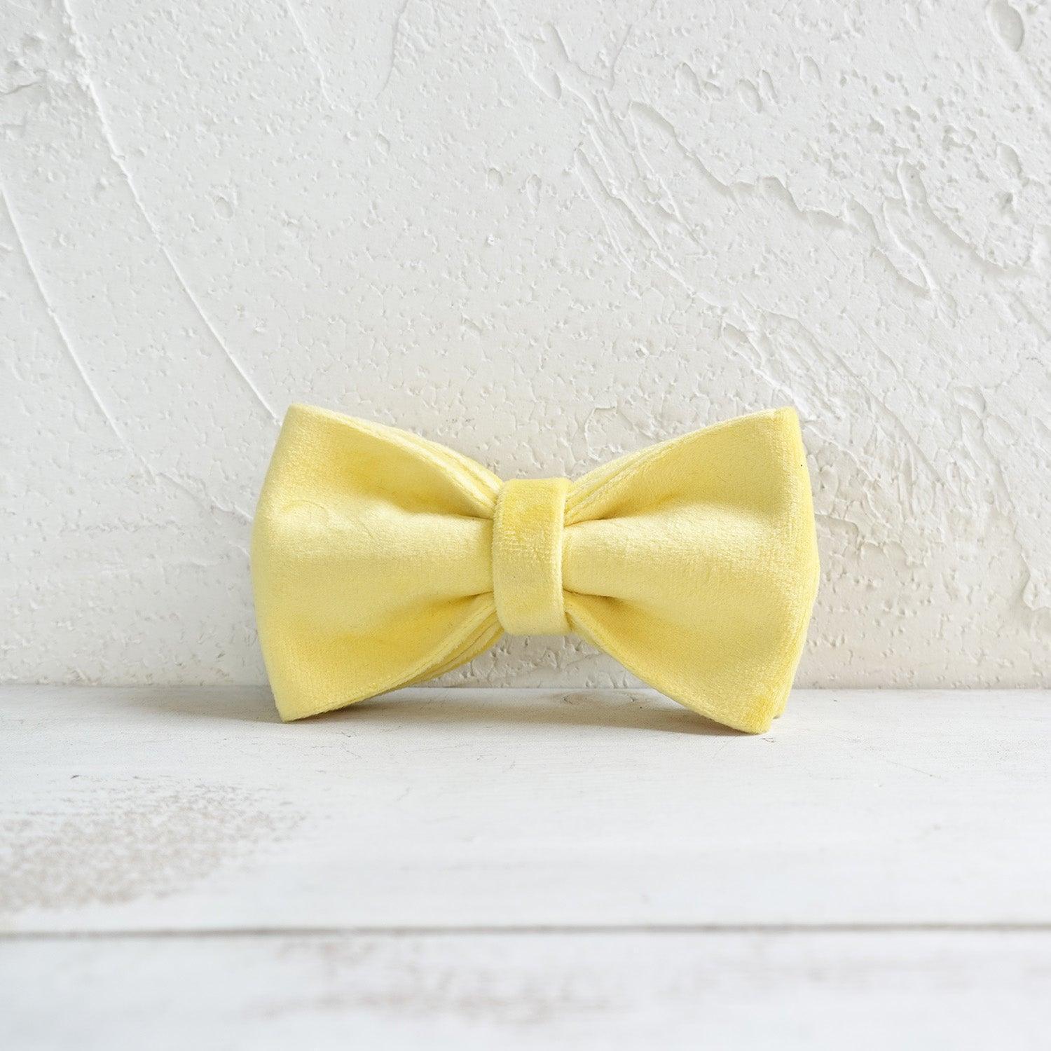 Soft Yellow Personalized Dog Collar Set - iTalkPet