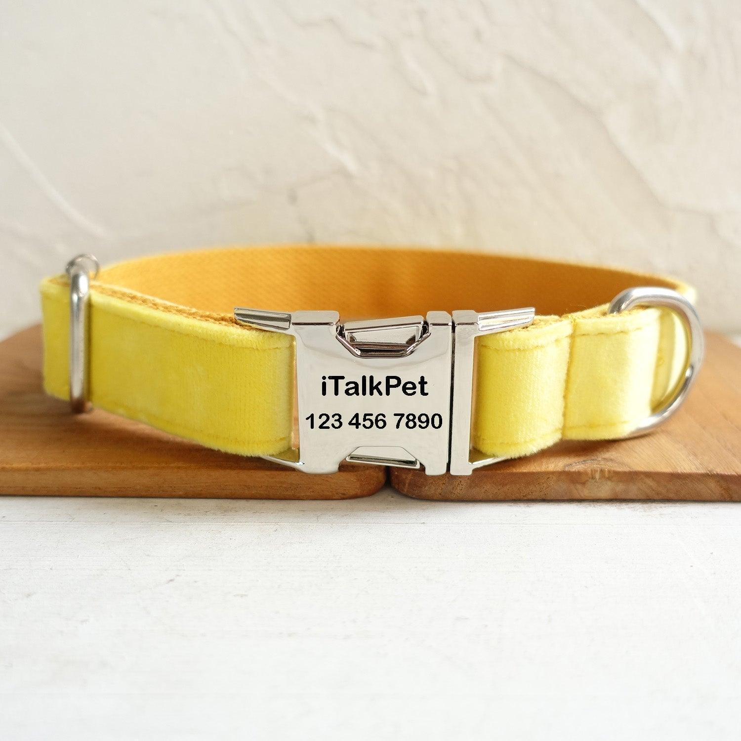 Soft Yellow Personalized Dog Collar Set - iTalkPet