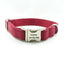 Solid Thickened Soft Personalized Dog Collar Set - iTalkPet