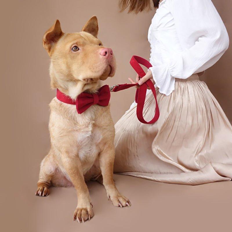 Solid Thickened Soft Personalized Dog Collar Set - iTalkPet