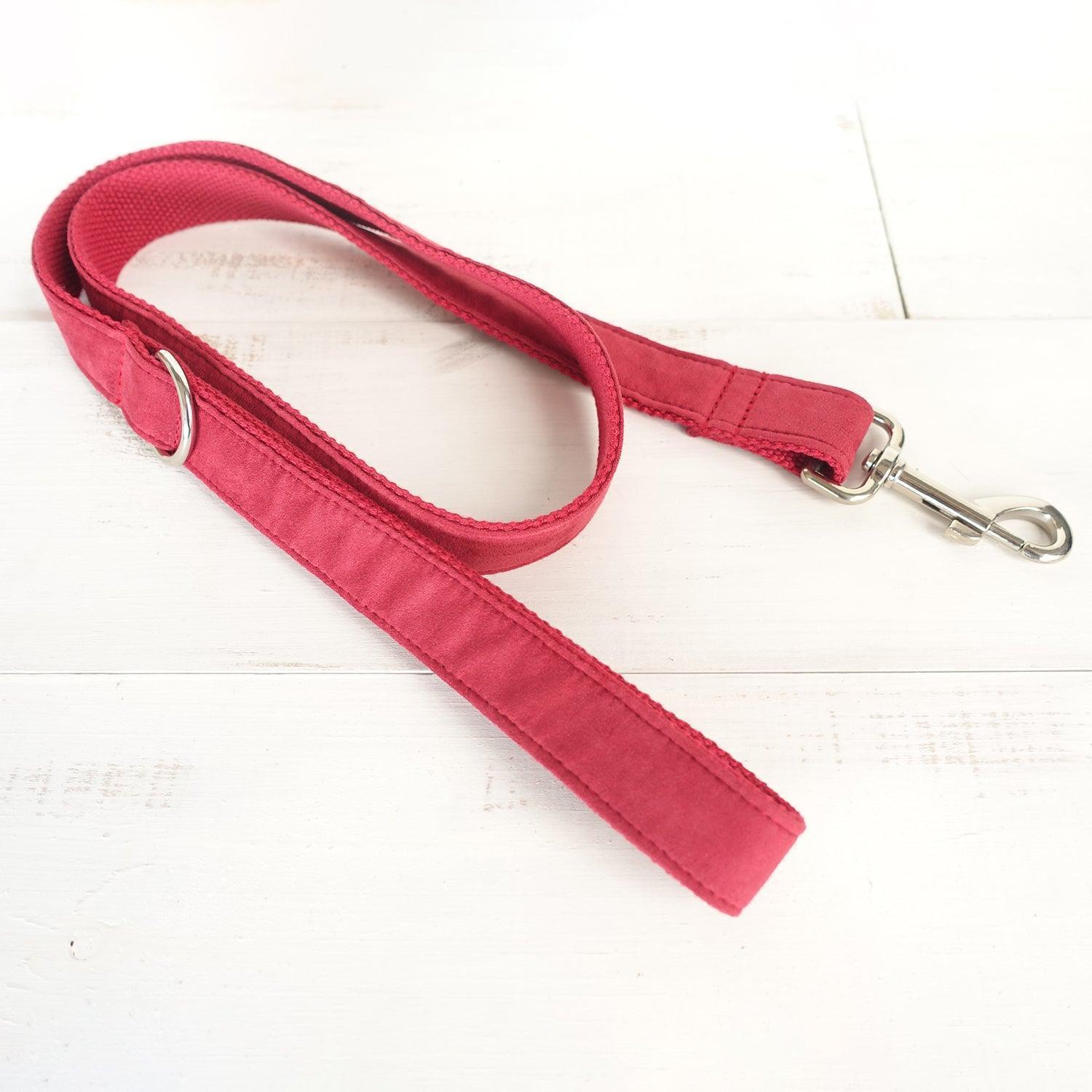 Solid Thickened Soft Personalized Dog Collar Set - iTalkPet