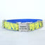 Splash Ink Yellow Personalized Dog Collar Set - iTalkPet