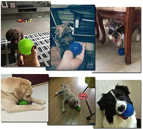 3 PCS Squeaky Balls Pet Chew Toy Fetch Ball for Dog - iTalkPet