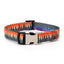 Stripe Custom Dog Collar Free Engraved Nameplate ID Tag - iTalkPet