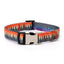 Stripe Custom Dog Collar Free Engraved Nameplate ID Tag - iTalkPet