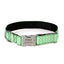 Stripe Personalized Nylon Dog Collar - Engraved Custom Pet Collars - iTalkPet