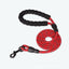 10FT Strong Dog Leash with Comfortable Padded Handle and Highly Reflective Threads - iTalkPet