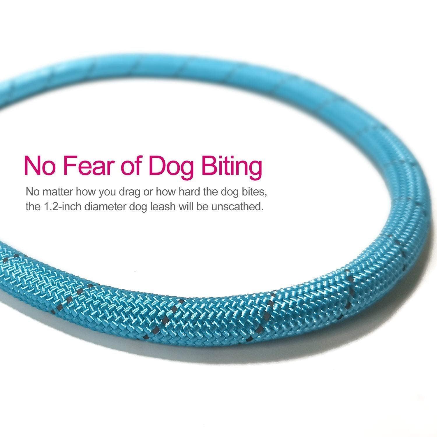 10FT Strong Dog Leash with Comfortable Padded Handle and Highly Reflective Threads - iTalkPet