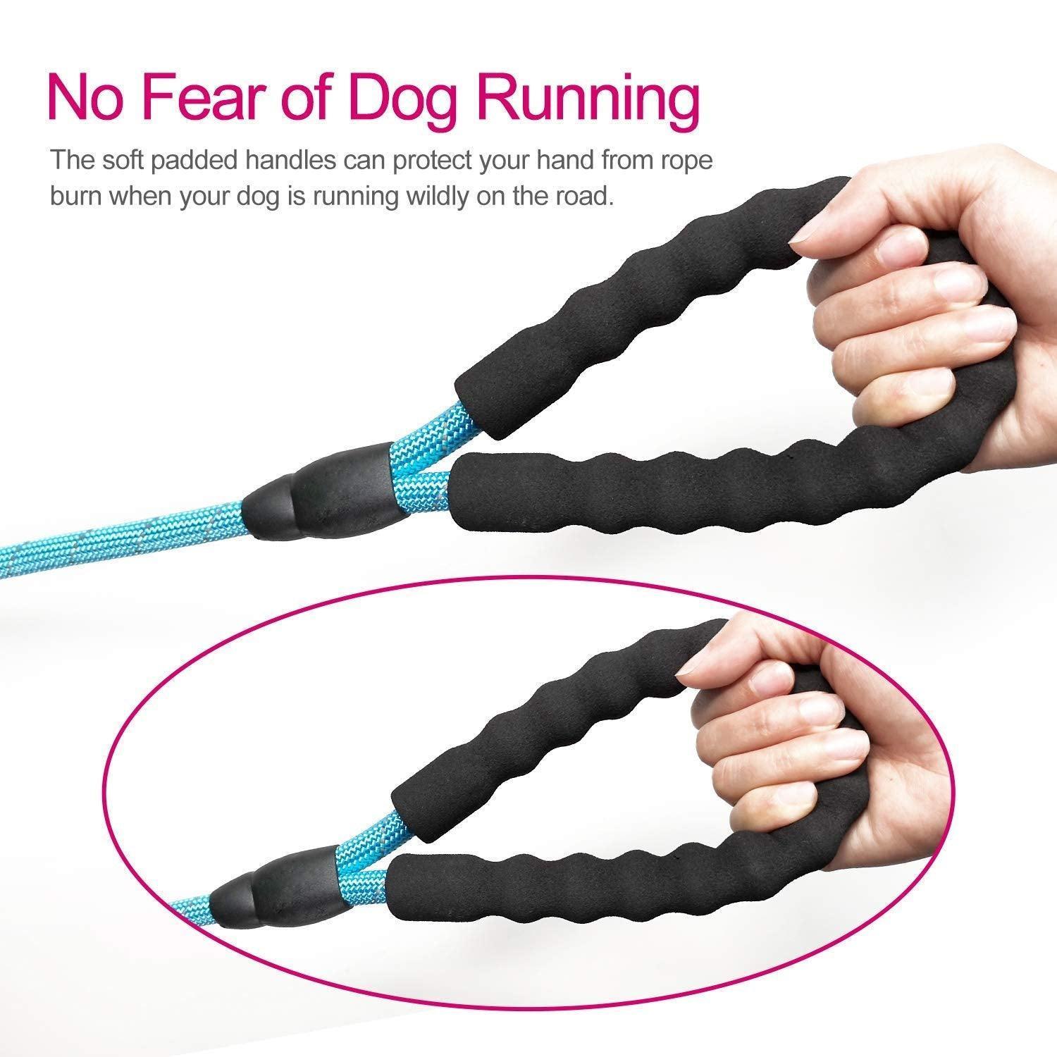 10FT Strong Dog Leash with Comfortable Padded Handle and Highly Reflective Threads - iTalkPet